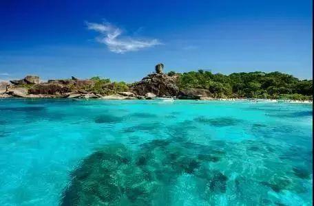 不当网红当长红,沈阳文旅局局长现场发挥,凸显格局和情怀